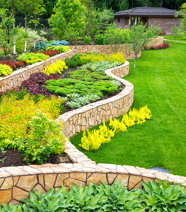 Beautiful Garden With Fresh Cut Lawn